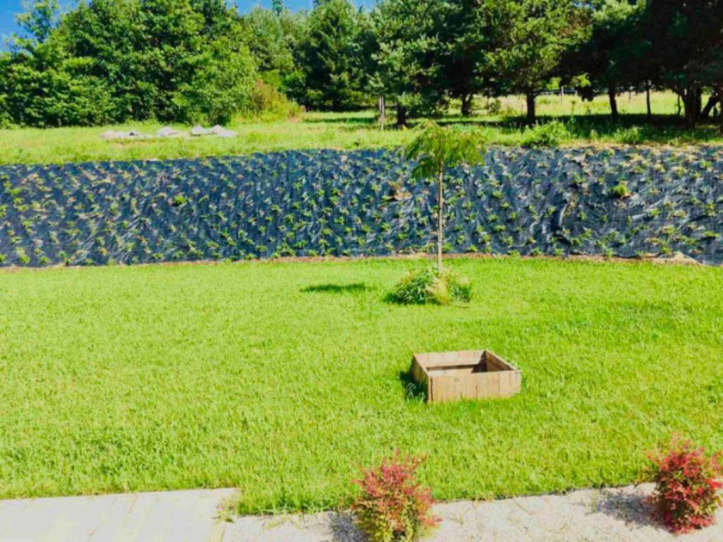 Vendvideki Pihenohazak Apartment Felsoszolnok Luaran gambar